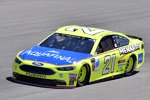 Paul Menard (Wood) 