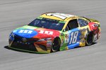 Kyle Busch (Gibbs)