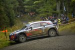 Andreas Mikkelsen (Hyundai) 