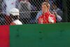 Suzuka 2006: Fernando Alonso versetzt "Schumi"-Fans einen Stich