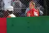 Bild zum Inhalt: Suzuka 2006: Fernando Alonso versetzt "Schumi"-Fans einen Stich