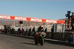 Tom Sykes 