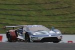 Andy Priaulx (Ford) und Harry Tincknell (Ford) 