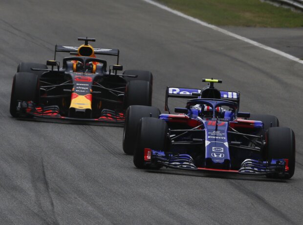 Titel-Bild zur News: Pierre Gasly, Daniel Ricciardo