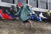 Bild zum Inhalt: Helmut Marko fordert mehr Regenreifen: "Zuschauer sind arme Schweine"