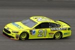 Paul Menard (Wood) 