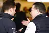 Bild zum Inhalt: Zak Brown: Stoffel Vandoorne war zu wenig aggressiv