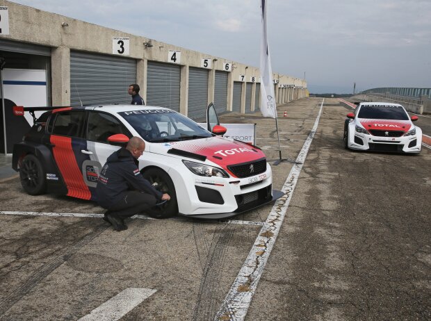 Peugeot 308 TCR