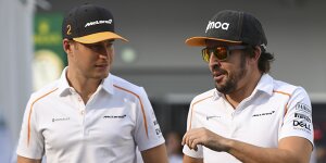 19:0: Alonso vor Durchmarsch im Quali-Duell gegen Vandoorne