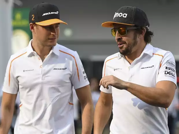 Stoffel Vandoorne, Fernando Alonso Titel-Bild zur News: Stoffel Vandoorne, Fernando Alonso