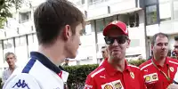Bild zum Inhalt: Sebastian Vettel: "Leclerc hat das Cockpit nicht ohne Grund bekommen"