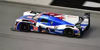 Lando Norris, Fernando Alonso