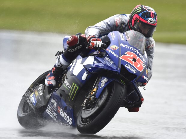 Maverick Vinales Maverick Vinales