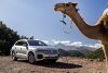 Bild zum Inhalt: Volkswagen Touareg 2019 im Test: Der letzte Premium-VW