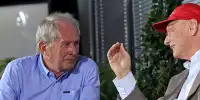 Helmut Marko, Niki Lauda