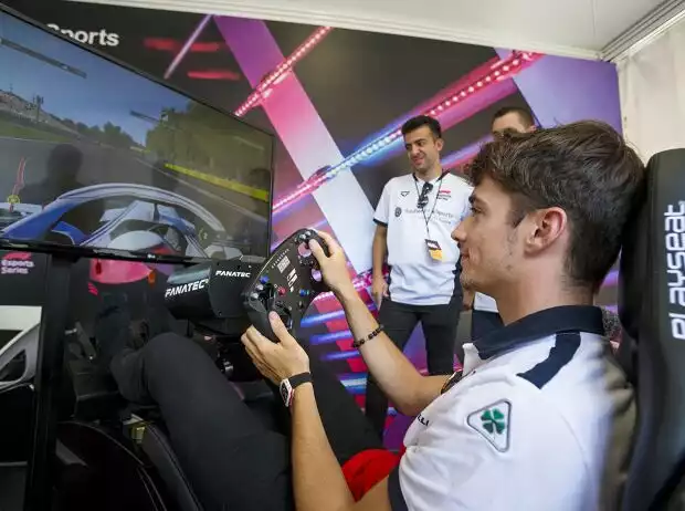 Charles Leclerc im Simulator Titel-Bild zur News: Charles Leclerc im Simulator