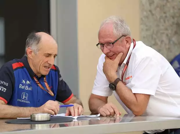 Franz Tost, Helmut Marko Titel-Bild zur News: Franz Tost, Helmut Marko