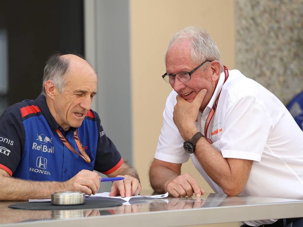 Franz Tost, Helmut Marko