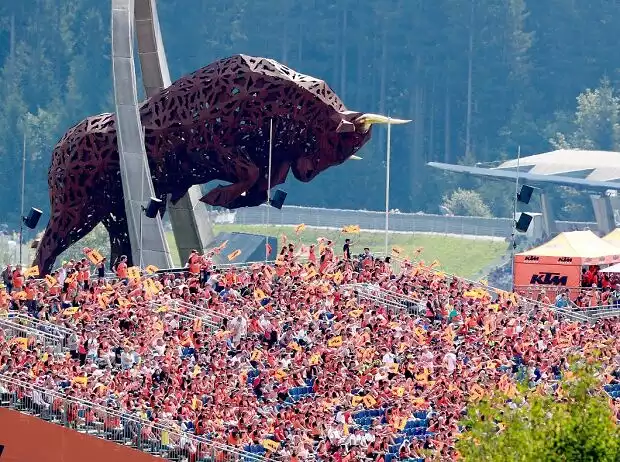 Fans Titel-Bild zur News: Fans