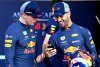 Bild zum Inhalt: Ricciardo: Habe eine schlechtere Beziehung zu Verstappen erwartet