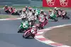Bild zum Inhalt: Carl Fogarty exklusiv (1/6): Als die WSBK größer war als der Grand-Prix-Sport
