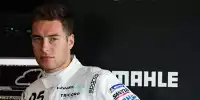 Stoffel Vandoorne, Malcolm Wilson