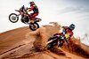 Bild zum Inhalt: Die Herausforderer im Check: Wer KTM vom Dakar-Thron stoßen will