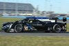 Fernando Alonso startet nicht bei den 12h von Sebring