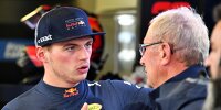 Bild zum Inhalt: Helmut Marko: Verstappen ist 2018 an Ricciardo vorbeigezogen