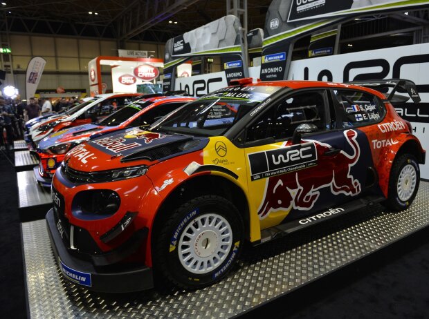 Titel-Bild zur News: WRC 2019