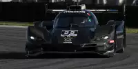 Harry Tincknell, Olivier Pla