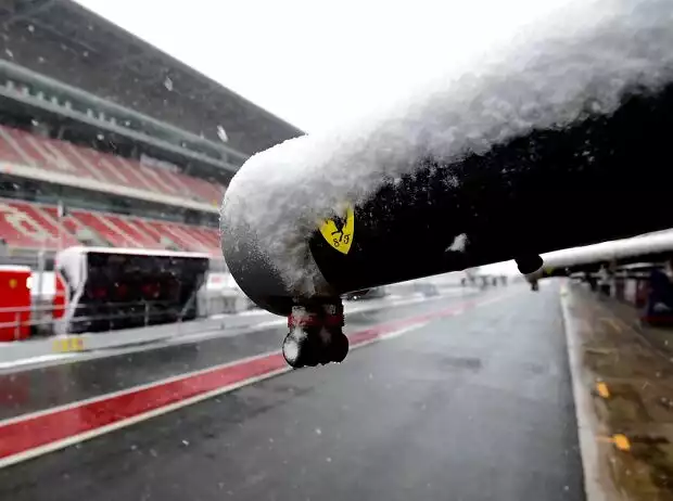 Ferrari-Emblem Titel-Bild zur News: Ferrari-Emblem