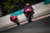 Ducati setzt auf Zusammenarbeit: Petrucci und Dovizioso im Paarflug