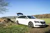 Bild zum Inhalt: Skoda Superb Combi 2019 (190-PS-TDI) im Test: Bester seiner Klasse!