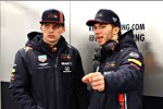Max Verstappen und Pierre Gasly (Red Bull) 