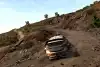 Bild zum Inhalt: WRC 8: Bessere Grafik, umfassender Karrieremodus, mehr Realismus