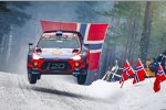 Thierry Neuville 