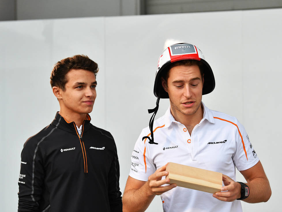 Lando Norris, Stoffel Vandoorne