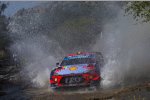 Thierry Neuville 