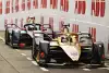 Bild zum Inhalt: Bird-Strafe zu mild? Protest von DS Techeetah abgewiesen