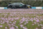 BMW DTM