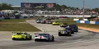 Bild zum Inhalt: Sebring: Die Bilanz der Doppelstarter in WEC und IMSA
