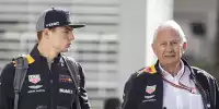Bild zum Inhalt: Jos Verstappen dementiert: "Toto ruft nie bei Max an"