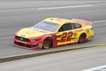 Joey Logano (Penske) 