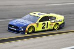 Paul Menard (Wood) 