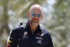 "Fühle mich sehr wohl": Adrian Newey will Red Bull nicht verlassen