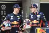 Bild zum Inhalt: Pierre Gasly unter Druck: Verstappen ist "eine gute Hilfe für mich"