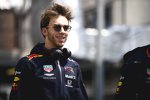 Pierre Gasly (Red Bull) 