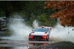 Thierry Neuville