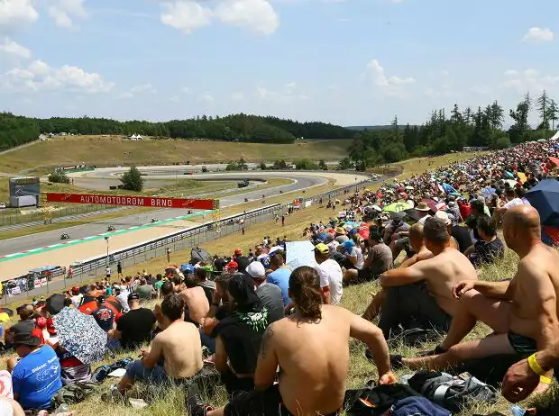 Titel-Bild zur News: Brno Fans